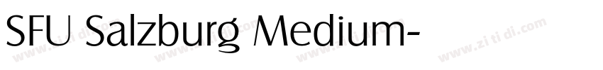 SFU Salzburg Medium字体转换